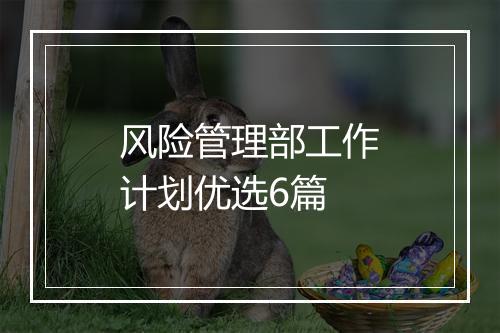 风险管理部工作计划优选6篇