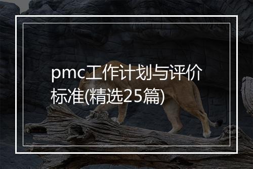 pmc工作计划与评价标准(精选25篇)