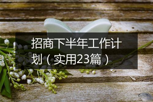 招商下半年工作计划（实用23篇）