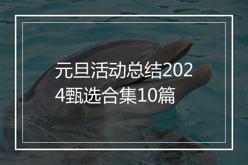 元旦活动总结2024甄选合集10篇