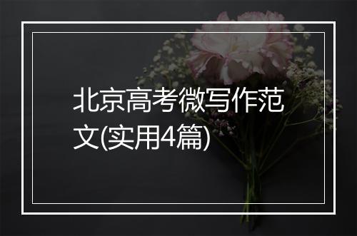 北京高考微写作范文(实用4篇)