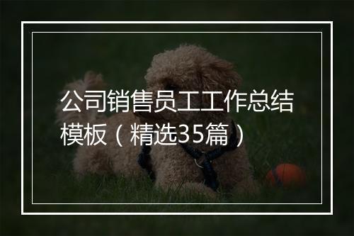 公司销售员工工作总结模板（精选35篇）