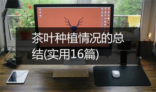 茶叶种植情况的总结(实用16篇)