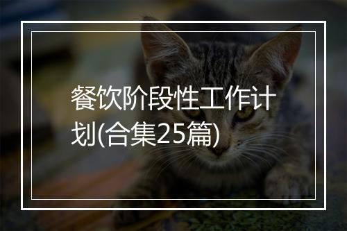 餐饮阶段性工作计划(合集25篇)