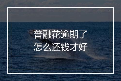 普融花逾期了怎么还钱才好