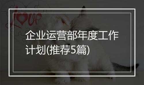企业运营部年度工作计划(推荐5篇)