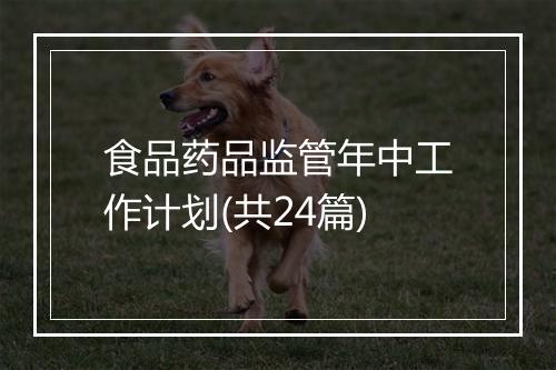 食品药品监管年中工作计划(共24篇)