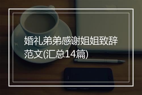婚礼弟弟感谢姐姐致辞范文(汇总14篇)