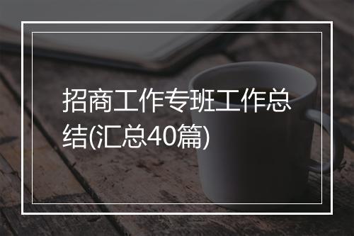 招商工作专班工作总结(汇总40篇)