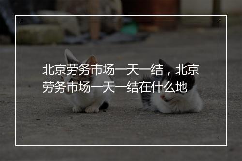 北京劳务市场一天一结，北京劳务市场一天一结在什么地