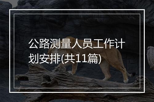 公路测量人员工作计划安排(共11篇)