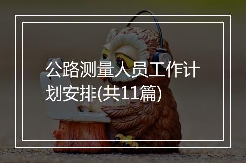公路测量人员工作计划安排(共11篇)