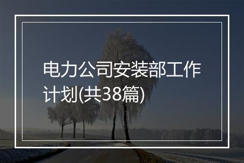 电力公司安装部工作计划(共38篇)