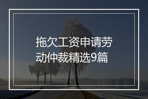 拖欠工资申请劳动仲裁精选9篇