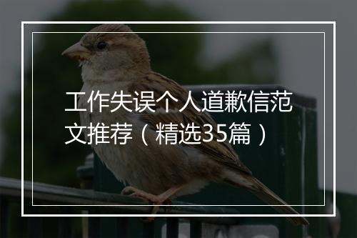 工作失误个人道歉信范文推荐（精选35篇）