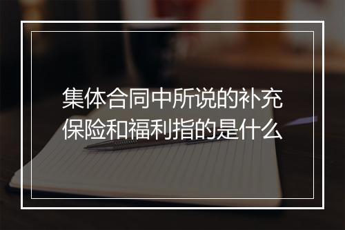 集体合同中所说的补充保险和福利指的是什么