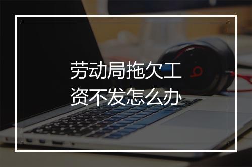 劳动局拖欠工资不发怎么办