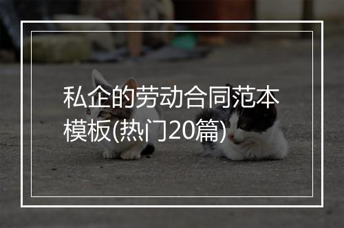 私企的劳动合同范本模板(热门20篇)