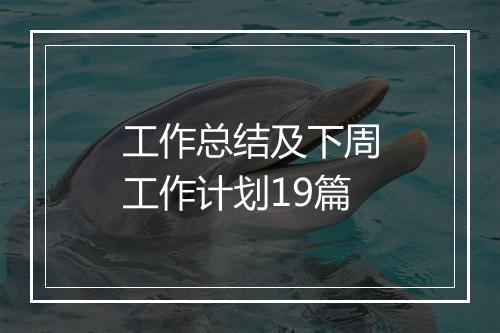 工作总结及下周工作计划19篇
