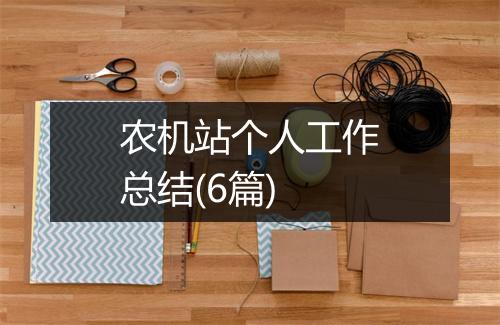 农机站个人工作总结(6篇)