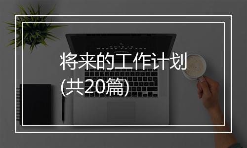 将来的工作计划(共20篇)