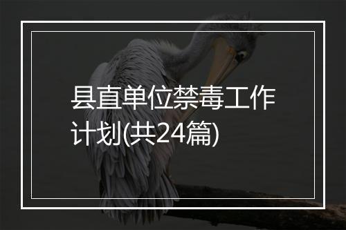 县直单位禁毒工作计划(共24篇)