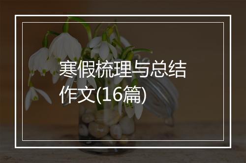 寒假梳理与总结作文(16篇)
