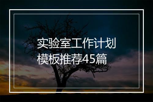 实验室工作计划模板推荐45篇