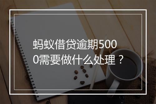 蚂蚁借贷逾期5000需要做什么处理？