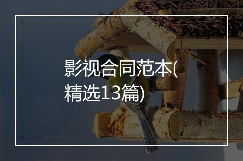 影视合同范本(精选13篇)