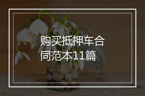 购买抵押车合同范本11篇