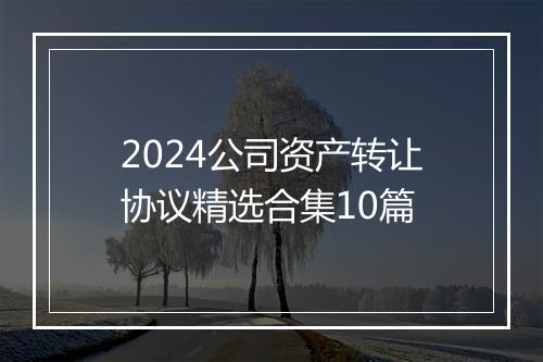 2024公司资产转让协议精选合集10篇