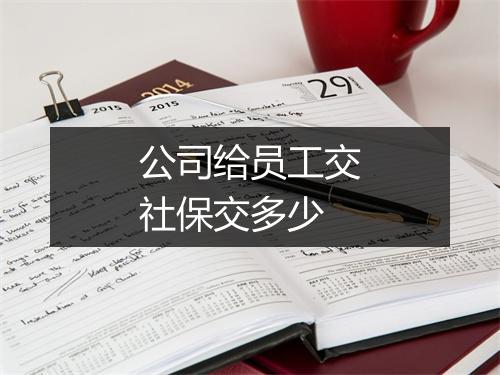 公司给员工交社保交多少