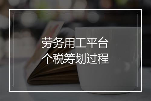 劳务用工平台个税筹划过程