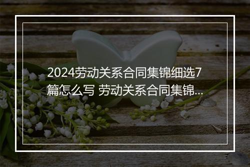 2024劳动关系合同集锦细选7篇怎么写 劳动关系合同集锦细选7篇
