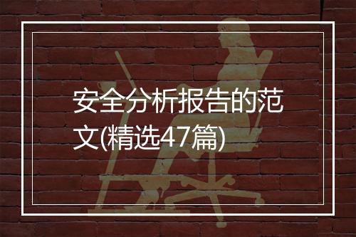 安全分析报告的范文(精选47篇)