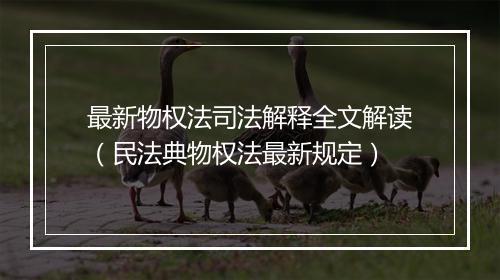 最新物权法司法解释全文解读（民法典物权法最新规定）