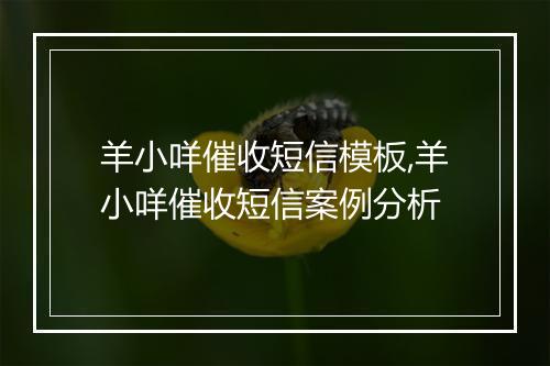 羊小咩催收短信模板,羊小咩催收短信案例分析