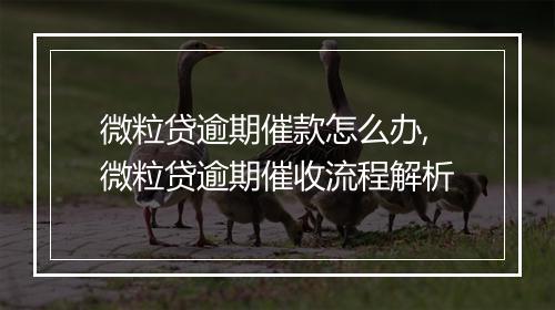 微粒贷逾期催款怎么办,微粒贷逾期催收流程解析