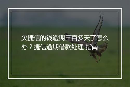 欠捷信的钱逾期三百多天了怎么办？捷信逾期借款处理 指南