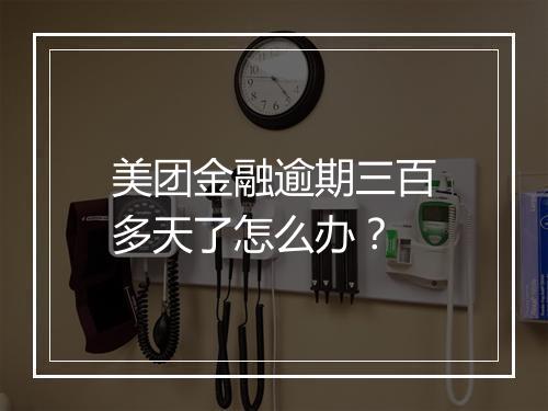 美团金融逾期三百多天了怎么办？