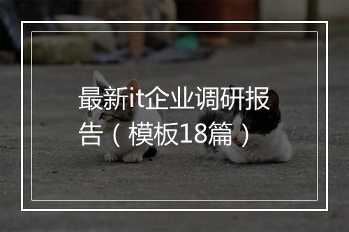 最新it企业调研报告（模板18篇）