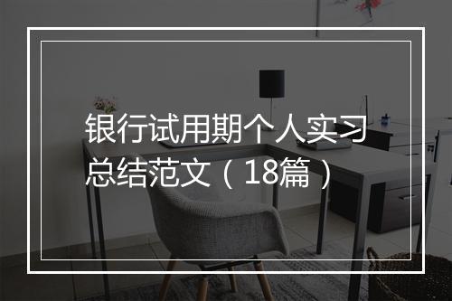银行试用期个人实习总结范文（18篇）