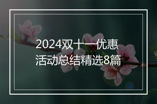 2024双十一优惠活动总结精选8篇