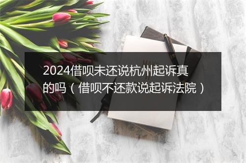 2024借呗未还说杭州起诉真的吗（借呗不还款说起诉法院）