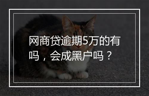 网商贷逾期5万的有吗，会成黑户吗？