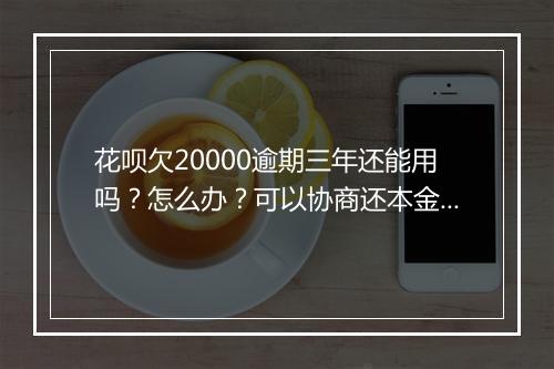 花呗欠20000逾期三年还能用吗？怎么办？可以协商还本金吗？