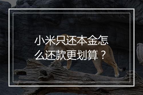 小米只还本金怎么还款更划算？