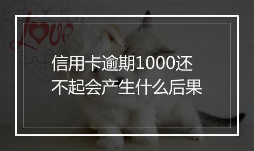 信用卡逾期1000还不起会产生什么后果