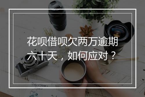 花呗借呗欠两万逾期六十天，如何应对？